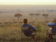 best honeymoon safari in South Africa