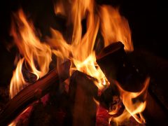 beginner-friendly firewood guide for safe home burning